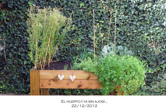 huertodiciembre
