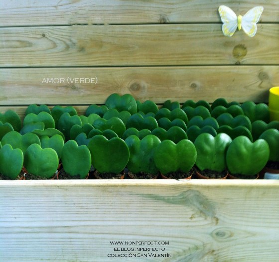 amorverde2