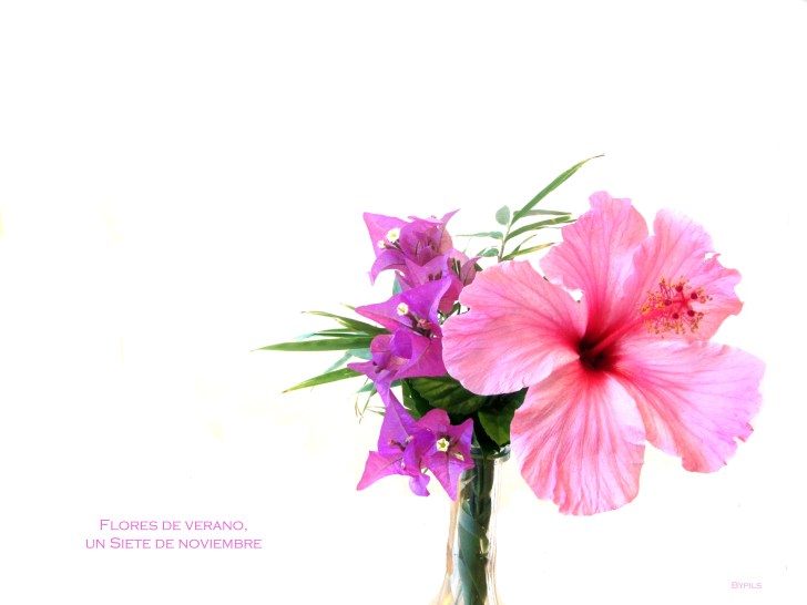 flores de veranootoño