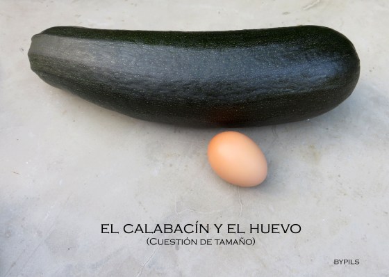 calabacin