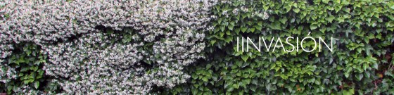 invasion1