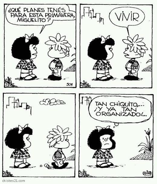 plan Mafalda