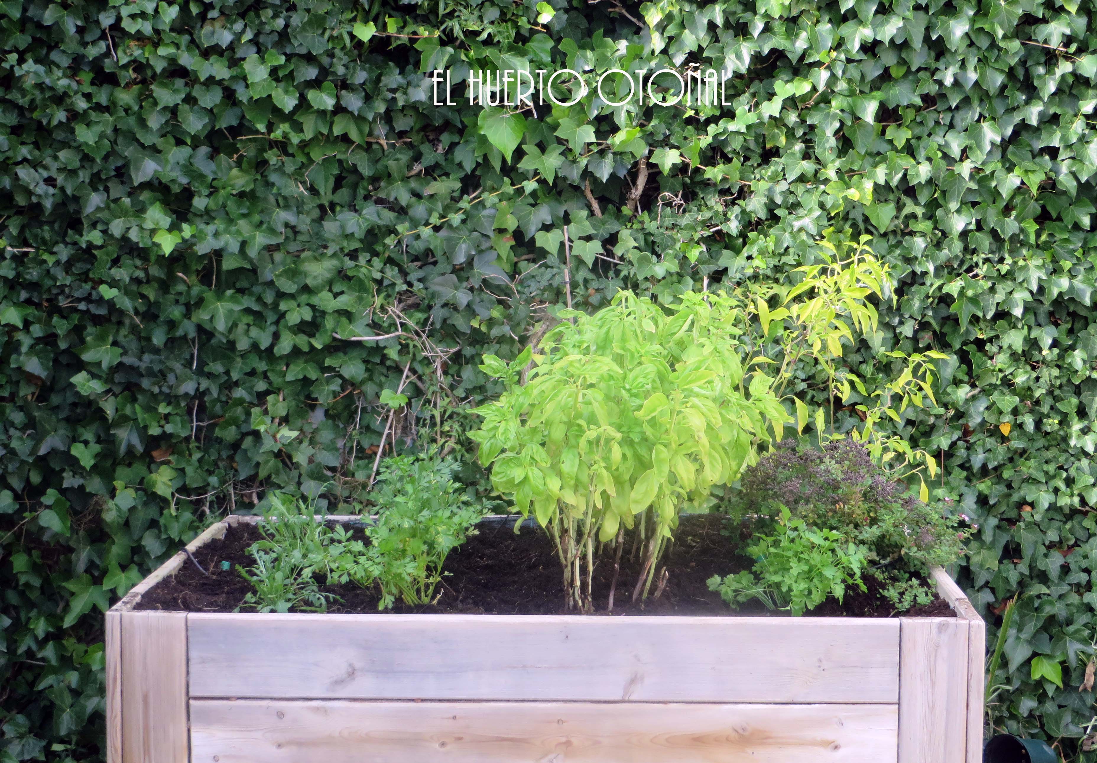huerto1
