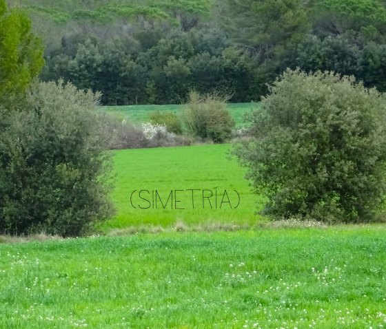 SIMETRÍA