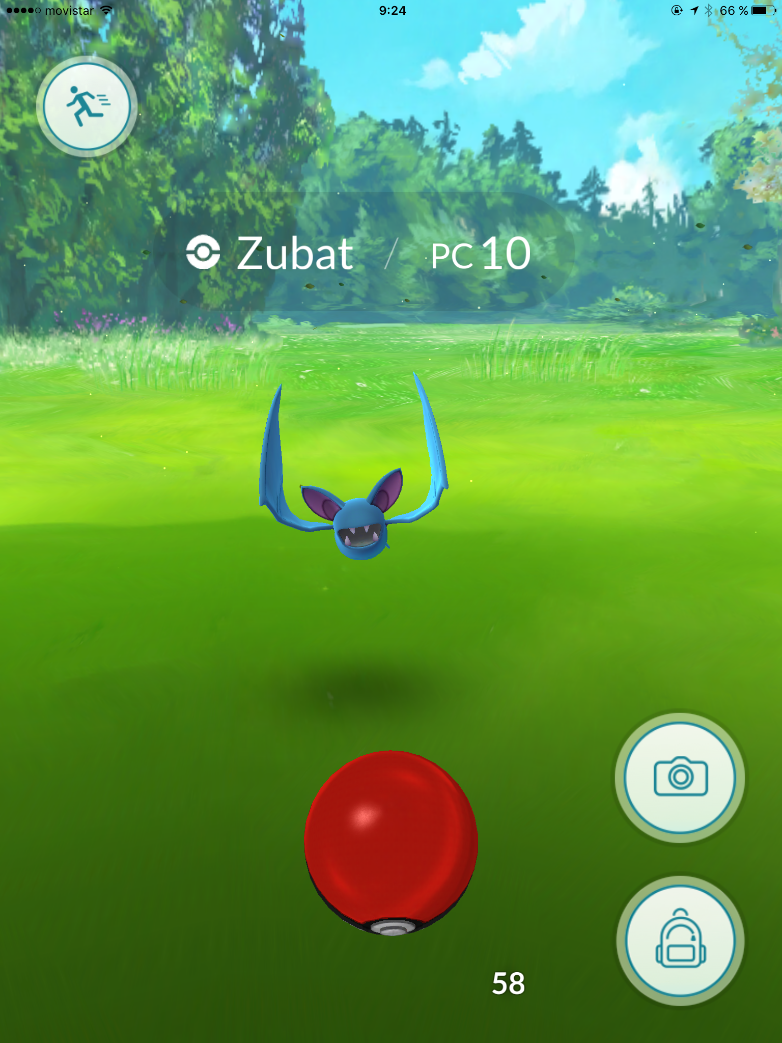 zubat